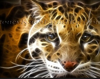May include: Close-up of a clouded leopard's face with glowing white lines and a dark background. The leopard's eyes are open and focused, and its nose is pink. The text "Stoney Knob Farm Heirlooms" is visible in the top left corner of the image.