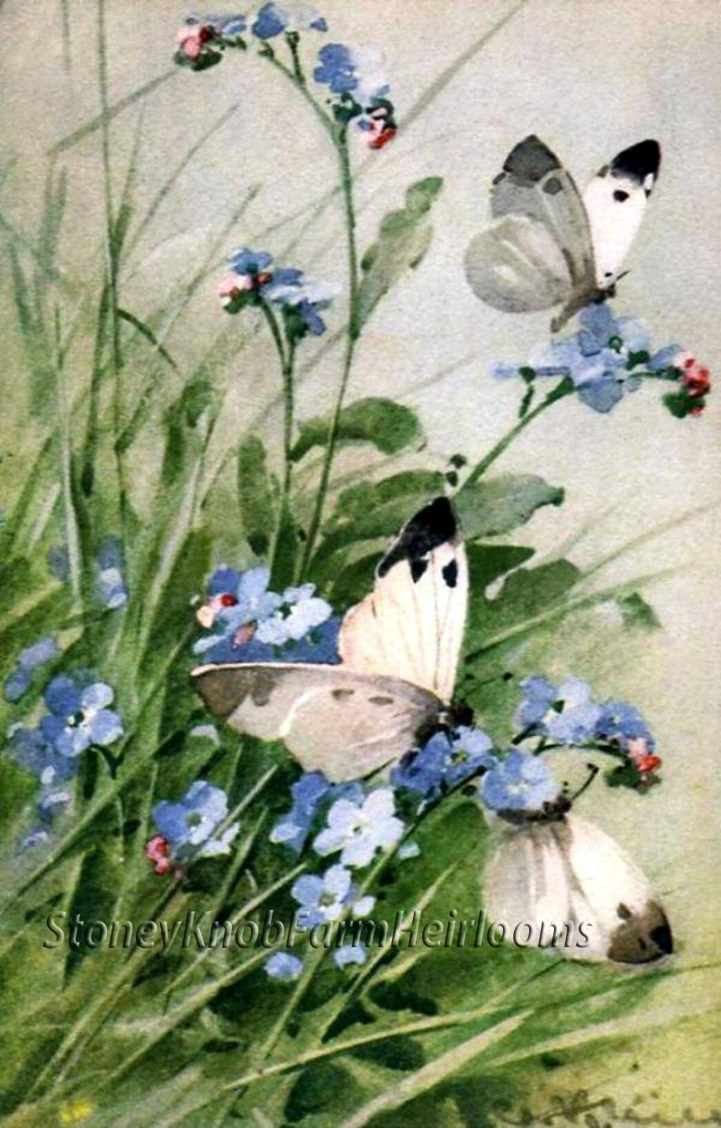 Cross Stitch Pattern in Color and BlkWht Symbols Blossoms Bluebirds and Butterfly ~ Spring Birds Instant Download