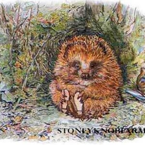 May include: A brown hedgehog with a white belly sits in a forest setting. The hedgehog is curled up with its legs tucked under its body. The background is a lush green forest with a brown and white jug.