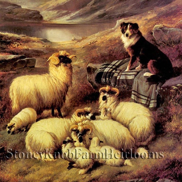 Guardian of the Flock ~ Sheep, Dogs, Collie ~ DIY 2 Cross Stitch Patterns Color and BlackWhite Symbols ~ Download