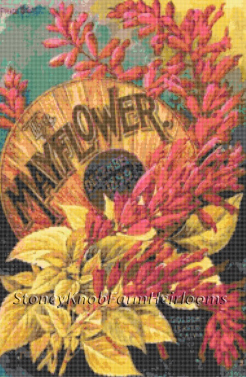 Mayflower Seed Catalog Cover 1899 Flowers DIY 2 Cross Stitch
