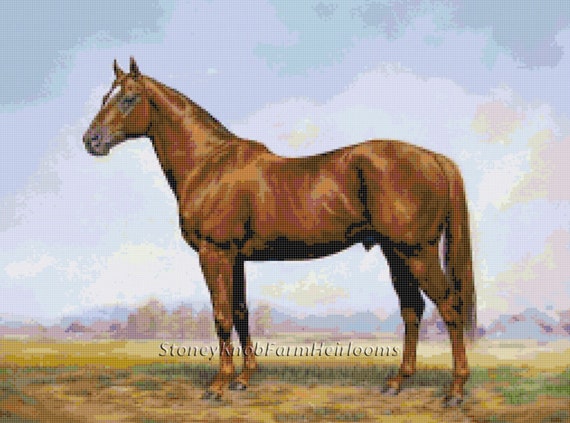 Man O'war ~ Kentucky Thoroughbred Race Horse ~ DIY Cross Stitch