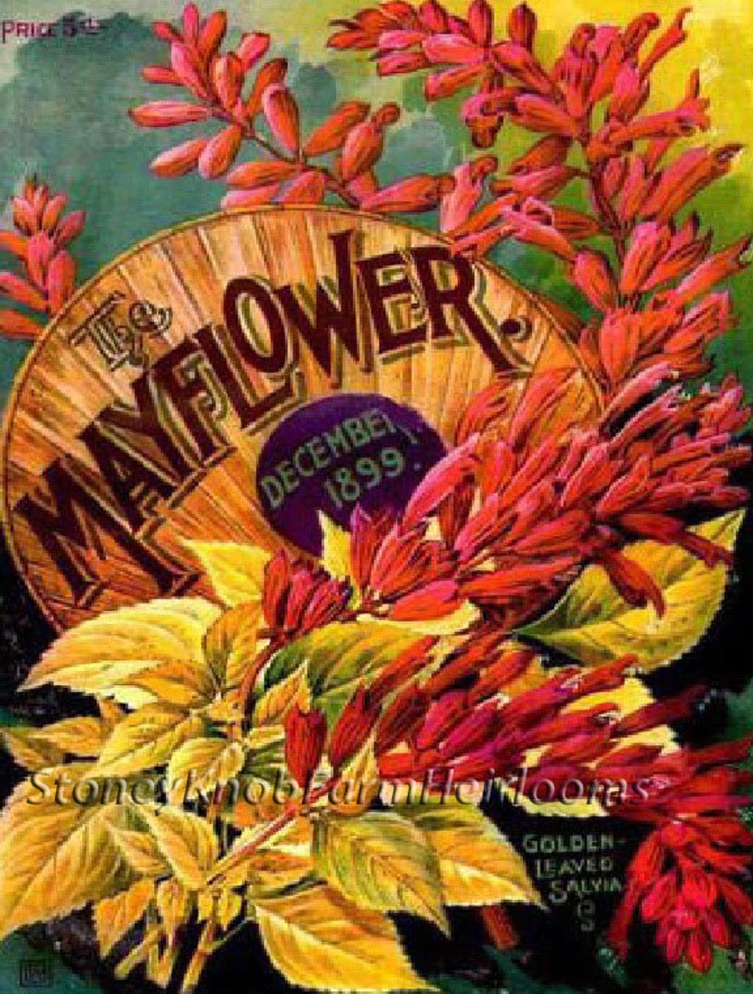 Mayflower Seed Catalog Cover 1899 Flowers DIY 2 Cross Stitch