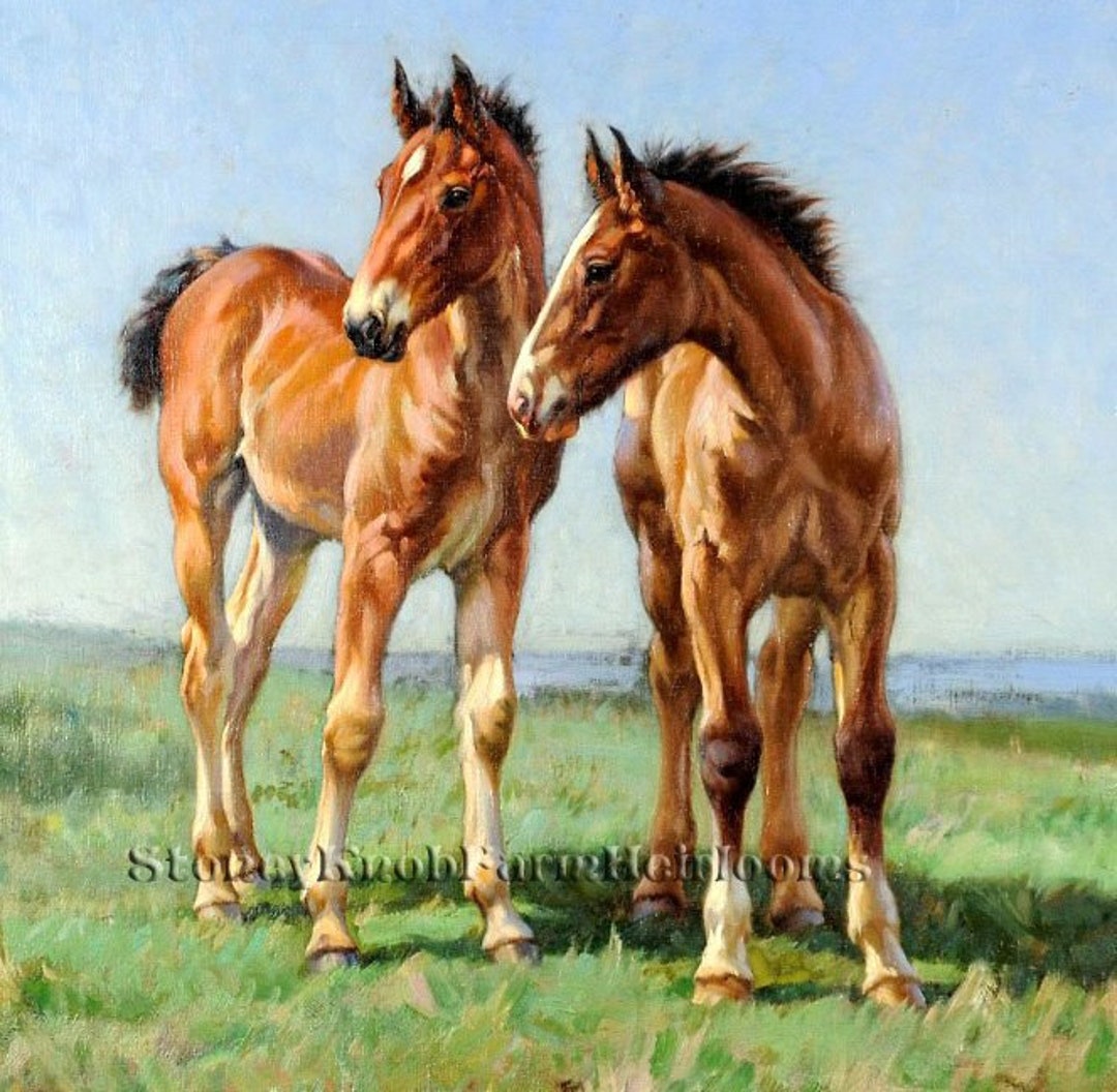 Feral Horses Tri State Horse And Mule Sale 219 Profile Horse Vinyl