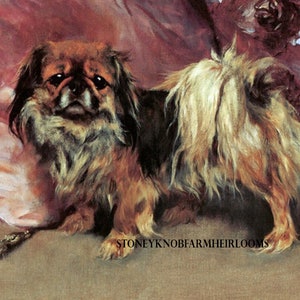 May include: A painting of a brown and white Pekingese dog with long fur. The dog is sitting on a pink pillow and looking at the viewer.