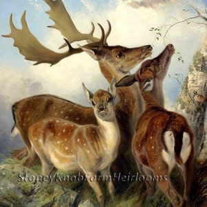 May include: A painting of three deer in a forest setting. The deer are brown and white with spots. The deer are standing on a rocky hillside with green grass and trees in the background. The sky is blue with white clouds.