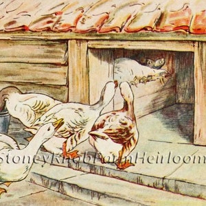 Cecily Parsley Nursery Rhymes 3 ~ Goose, Gander ~ Beatrix Potter ~ DIY 2 Patrones de punto de cruz Color y símbolos blanco y negro ~ Descargar