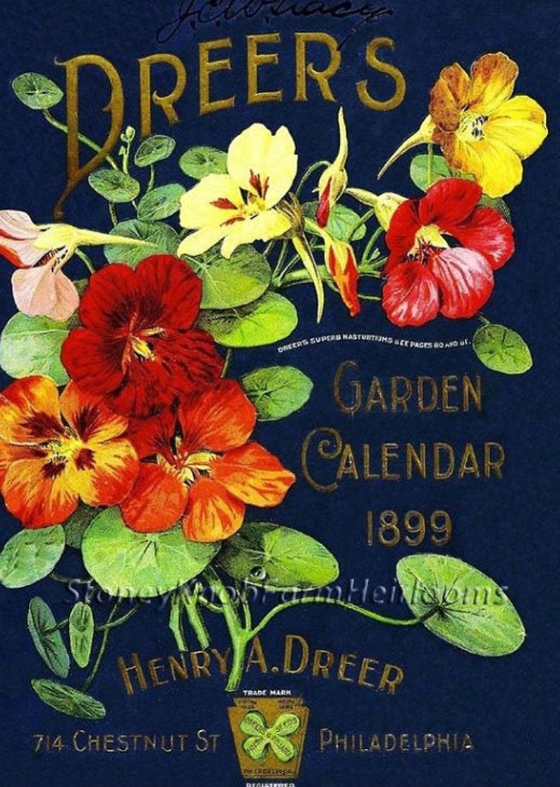 Cole's Garden Annual 1899~Vintage Seed Catalog~DIY Counted Cross Stitch Pattern Cole's Garden Annual 1899~Vintage Seed Catalog~DIY Counted Cross Stitch Pattern