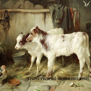 Na caixa errada ~ Vacas, bezerros, fazenda, Walter Hunt ~ Faça você mesmo 2 padrões de ponto cruz ~ Símbolos coloridos e em preto e branco ~ Download de PDFg