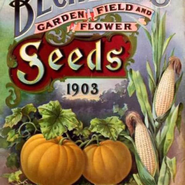 Beckert's Seeds 1903 Garden Catalog Art - Cross Stitch Pattern in Color and BlackWhite Symbols - Instant Download