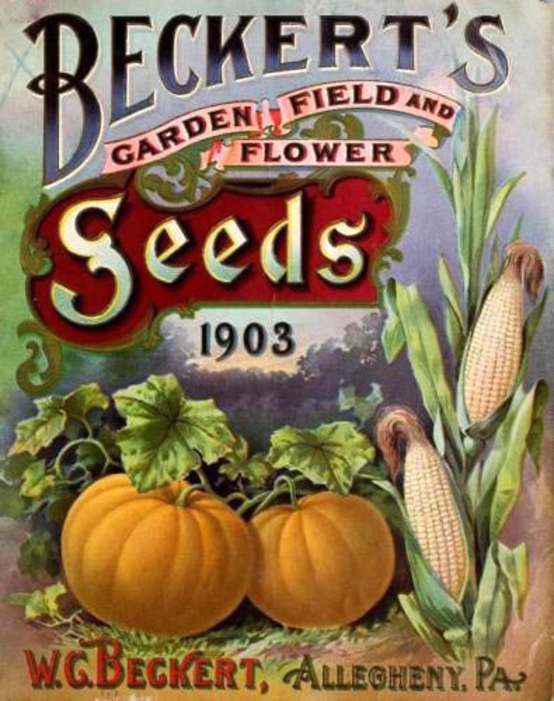 Beckert's Seeds 1903 Garden Catalog Art Cross Stitch Pattern in Color