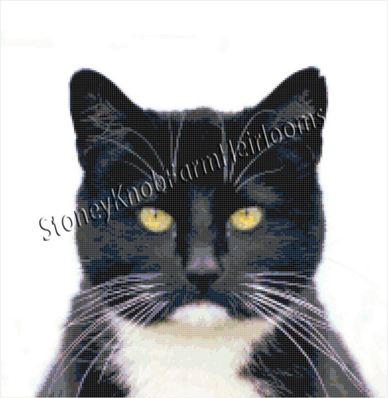 Tuxedo Cat Kittens, Cats DIY Cross Stitch Pattern Download Etsy Canada