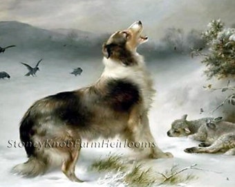 Può includere: Un dipinto di un cane collie marrone e bianco che ulula al cielo. Il cane è in piedi in un campo innevato con alcuni corvi che volano sopra di lui. Il cane sta guardando il cielo con la bocca aperta e la lingua di fuori. Il pelo del cane è lungo e soffice. Lo sfondo è un paesaggio innevato con alcuni alberi in lontananza.