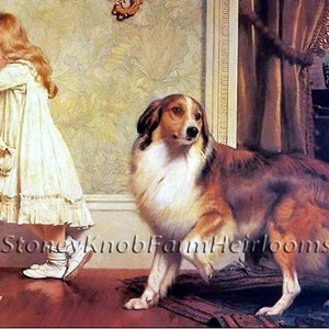 May include: A young girl in a white dress stands in a corner of a room, looking down. A brown and white dog with a long, fluffy tail stands in the middle of the room, looking at the girl. The dog has a brown nose and brown eyes. The room has a light brown wallpaper with a floral pattern. The floor is a dark brown wood.