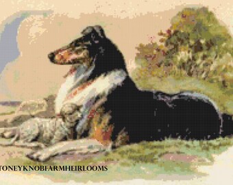 il_340x270.3233368899_qop7.jpg il_340x270.3233368899_qop7.jpg