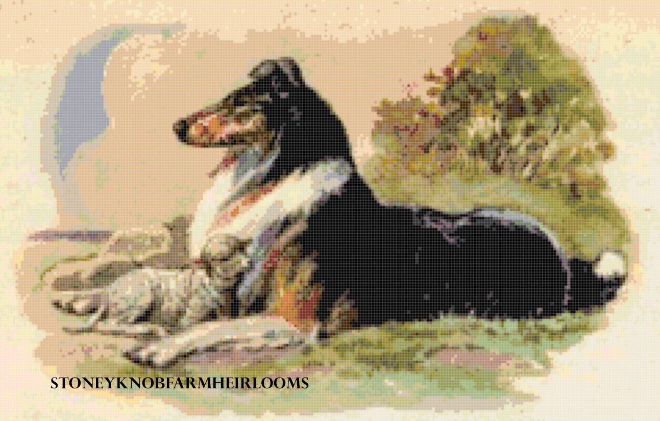 Savignac COLLIE MISCHUNGS-TREU 1952年リト額付 il_fullxfull.3233368899_qop7.jpg