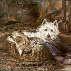 By The Fire ~ Yorkie & Westie ~ Honden ~ DIY 2 Cross Stitch Patronen ~ Kleur en Zwart-Witte Symbolen ~ PDF Download