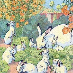 May include: A vintage illustration of a group of white rabbits eating green leafy vegetables in a garden. The rabbits are surrounded by yellow bell-shaped flowers and green leafy plants.