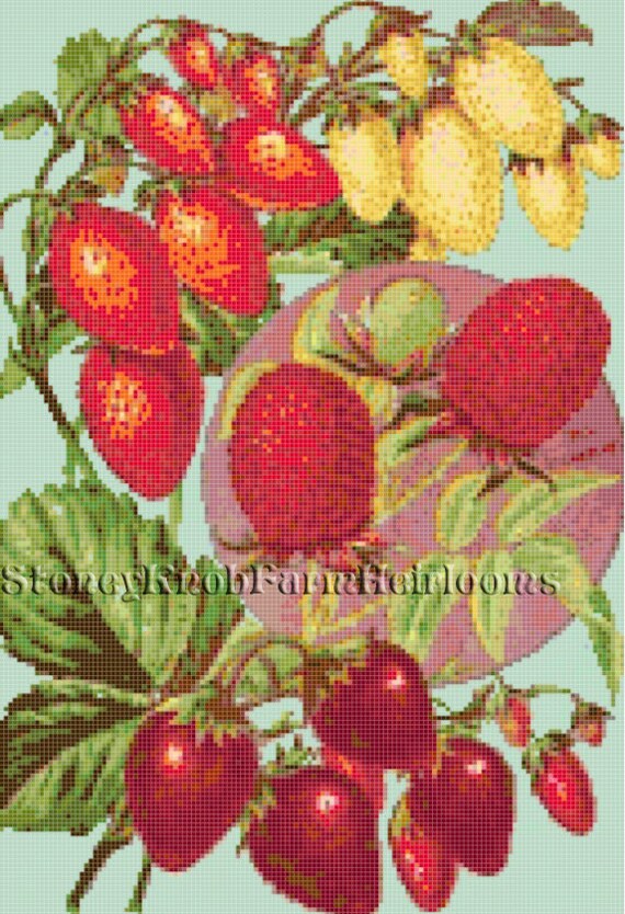 Salzer Seed Co John A 1904 Seed Catalog Art DIY Counted
