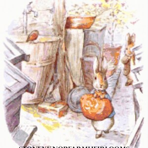 Peter Rabbit e Benjamin Bunny ~ Beatrix Potter ~ 2 schemi punto croce fai da te ~ Simboli a colori e in bianco e nero ~ Scarica PDF