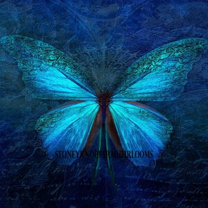 Blue Butterfly ~ Insects ~ DIY Cross Stitch Pattern ~ PDF Download