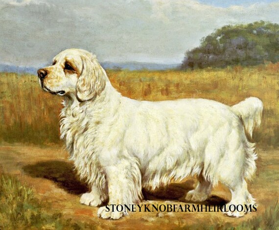Clumber Spaniel Umbrella Clumber Spaniel Umbrella
