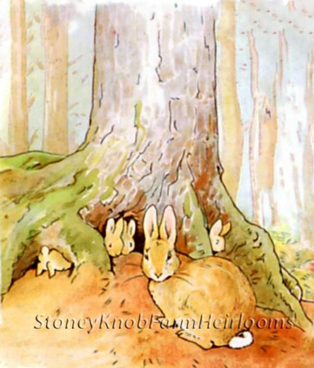 Peter Flopsy Mopsy Cottontail Peter Rabbit 2 Beatrix Etsy