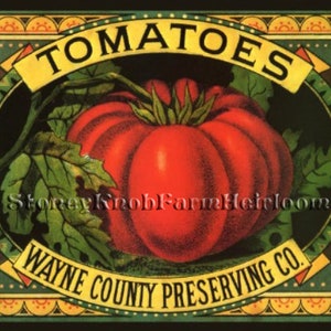 Può includere: Etichetta in stile vintage con un pomodoro rosso, foglie verdi e il testo "TOMATOES WAYNE COUNTY PRESERVING CO."