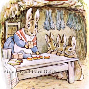 Tale of Benjamin Bunny 2a ~ Beatrix Potter ~ 2 Counted Cross Stitch Patterns in Color and Black and White - Instant Download