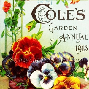 May include: Vintage seed packet for Cole's Garden Annual 1915 featuring a colorful illustration of pansies. The text on the packet reads "Cole's Superb Mixture Pansy Pkt. 15¢ 2 Pkts. 25¢ PELLA, IOWA."