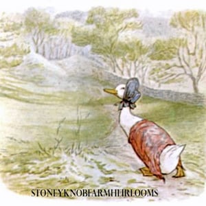 May include: A white duck with a blue bonnet walks on a path in a grassy field. The duck is wearing a red and white dress. The background is a blurry image of trees and bushes.