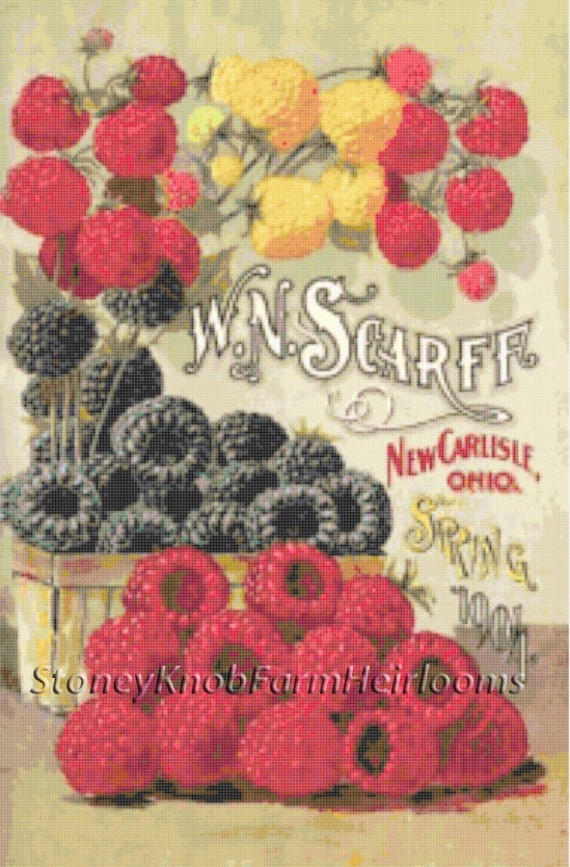 Salzer Seed Co John A 1904 Seed Catalog Art DIY Counted
