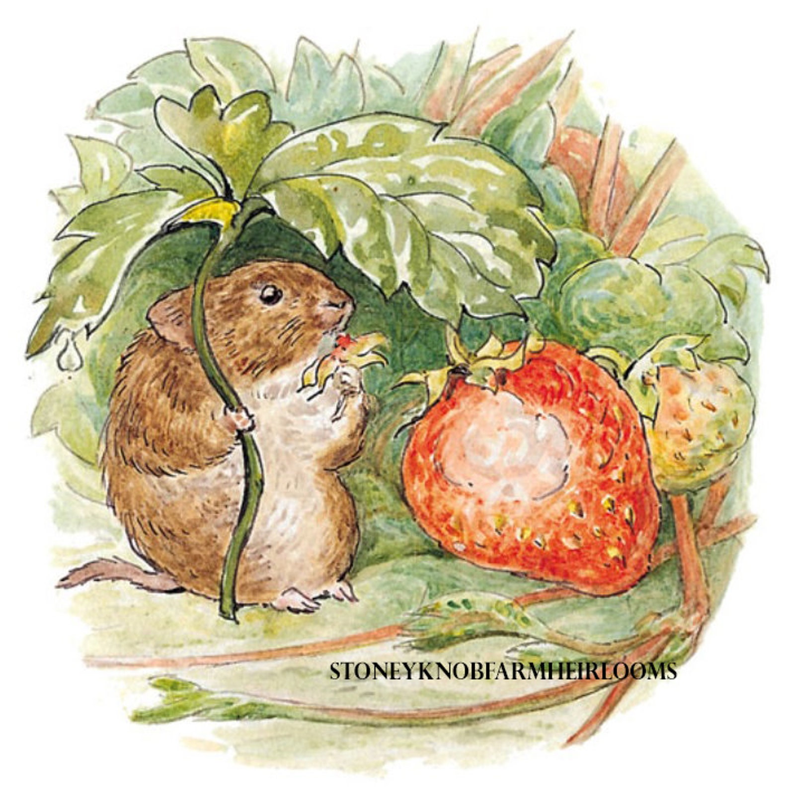 Timmie Willie Eating Strawberries Beatrix Potter DIY 2 Cross Stitch