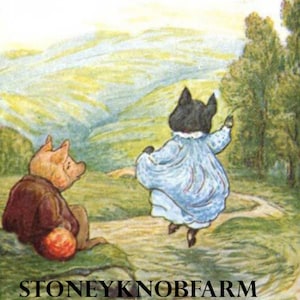 May include: Two pig characters, one black and one pink, stand on a path looking out at a green valley. The black pig is wearing a blue dress and is jumping in the air. The pink pig is wearing a brown jacket and is sitting on a rock. The text "Stoneyknob Farm" is at the bottom of the image.