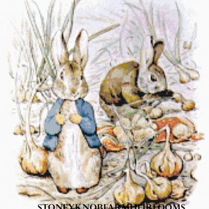 Könnte beinhalten: Zwei braune Kaninchen auf einem Feld mit grünem Gras und weißen Zwiebeln. Ein Kaninchen trägt eine blaue Jacke. Der Text "Stoneyknob Farm Heirlooms" befindet sich am unteren Rand des Bildes.