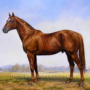 Man O'War ~ Kentucky Thoroughbred Race Horse ~ DIY Cross Stitch Pattern in Color and BlackWhite Symbols ~ Instant Download