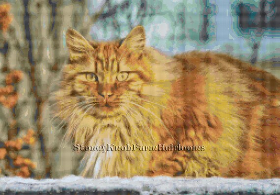 Ginger Tabby Cat ~ Cats, Kittens ~ DIY 2 Cross Stitch Patterns One