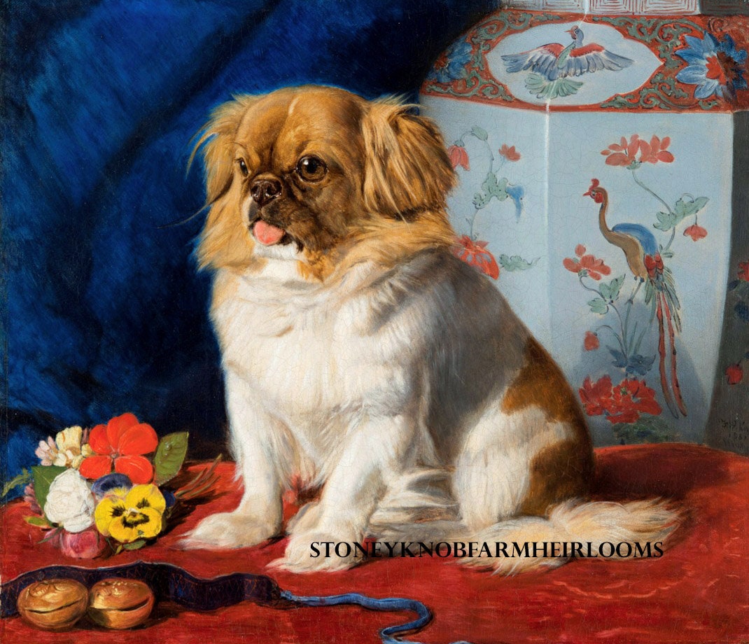 Looty a Pekingese ~ Dogs ~ Queen Victoria ~ DIY 2 Cross Stitch