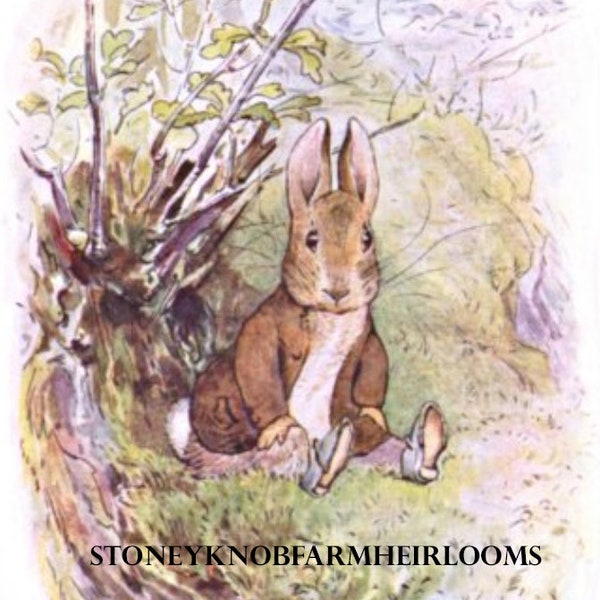 Tale of Benjamin Bunny 4 ~ Beatrix Potter ~ DIY 2 Cross Stitch Patterns ~ Color and Black & White Symbols ~ PDF Download