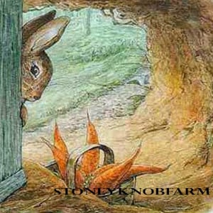 May include: A brown rabbit peeks out from behind a blue door, looking at a basket of orange carrots in front of a dirt path. The text "Stoneyknob Farm" is visible on the ground.