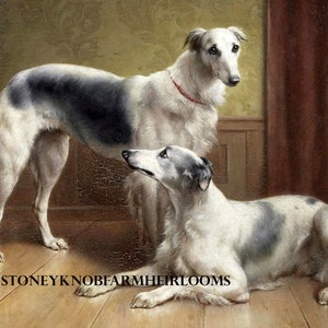 May include: An antique painting of two Borzoi dogs. One stands, wearing a red collar, while the other reclines on a wooden floor. The dogs have white fur with gray markings. The text "STONEYKNOBFARMHEIRLOOMS" is visible.