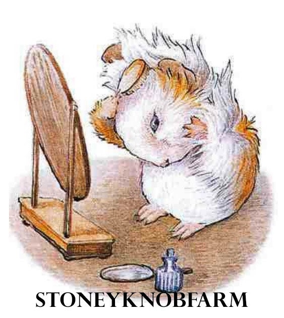 Appley Dapply 12 - Beatrix Potter - DIY Cross Stitch Patterns in Color ...