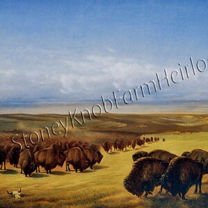 The Gathering Herds ~ Buffalo ~ American West ~ DIY 2 Cross Stitch Patterns ~ Color and BlackWhite Symbols ~ Digital Download