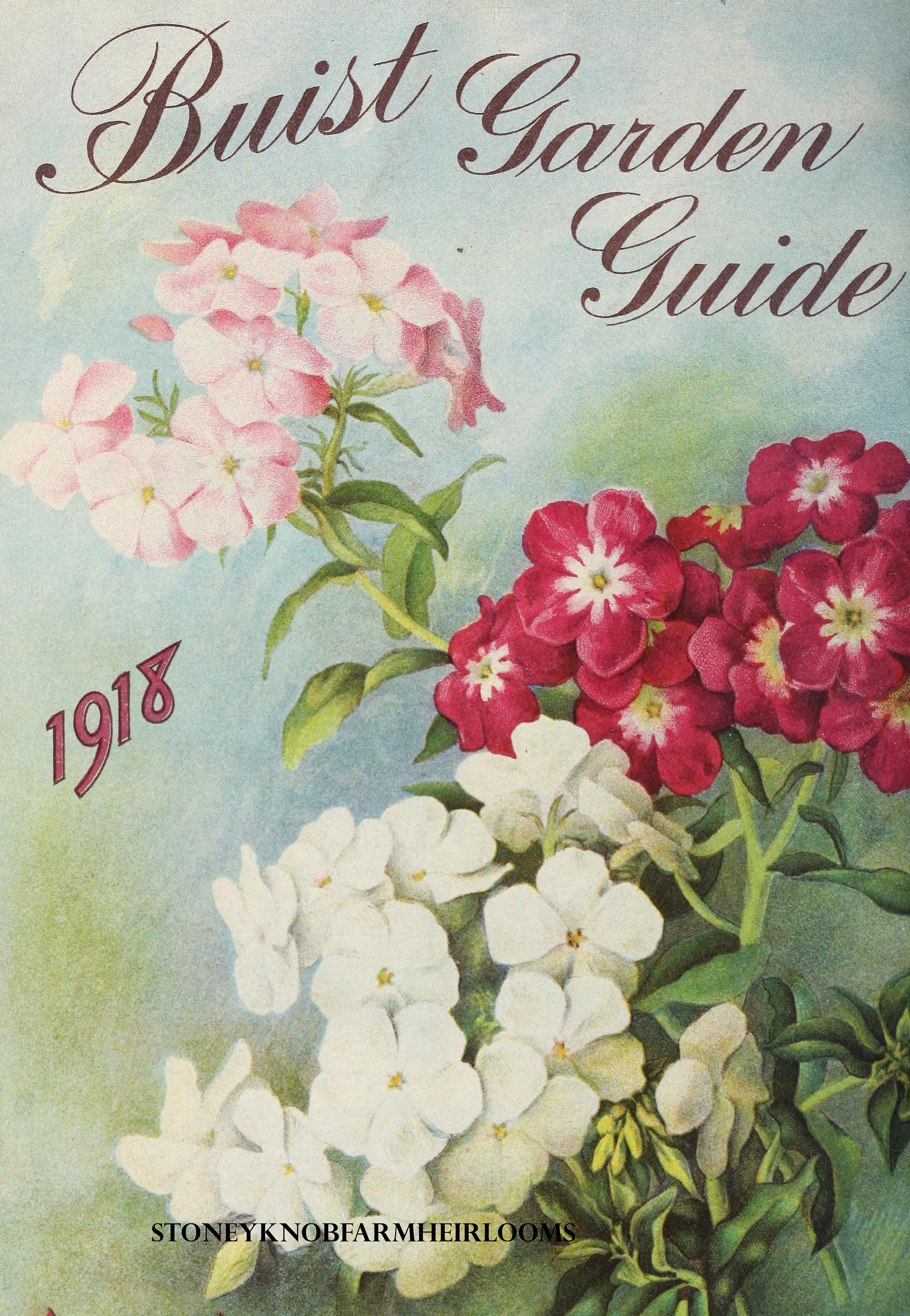 Buist Garden Guide 1918 Phlox Flowers Vintage Seed Catalog DIY 2