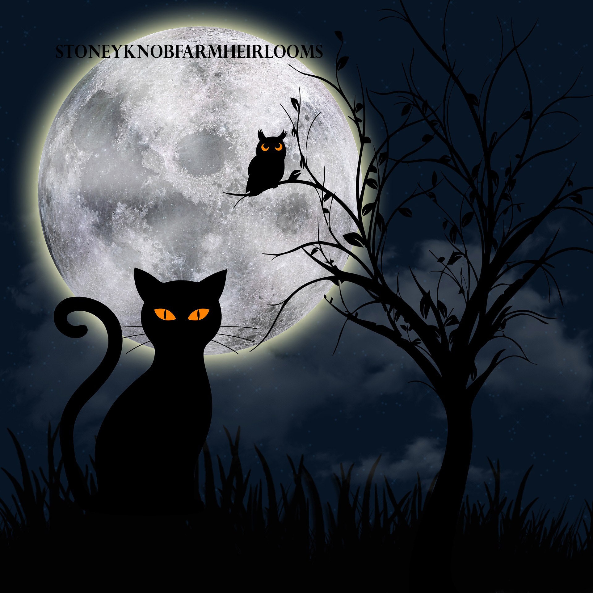 shadow of night free pdf download