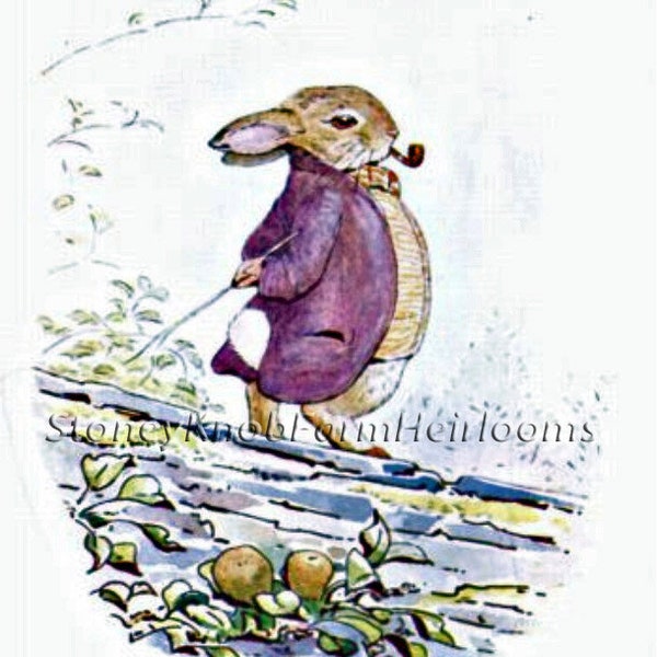 Old Mr Benjamin Bunny ~ Beatrix Potter ~ DIY Cross Stitch Pattern in Color and BlackWhite Symbols ~ Instant Download