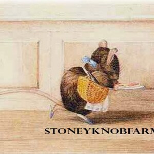 Appley Dapply 3 - Beatrix Potter - DIY Kreuzstichmuster in Farbe und in SchwarzWeißen Symbolen - PDF Download