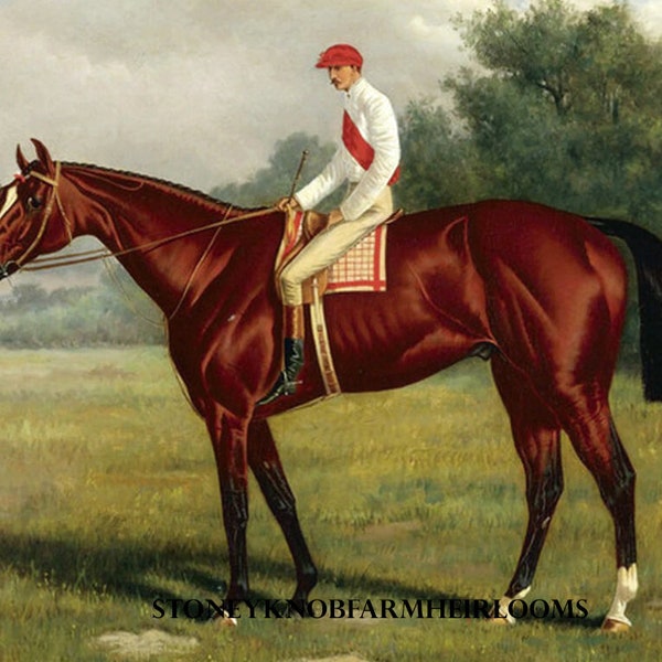 Kentucky Derby Winner 1883 Leonatas ~ Pferde ~ Kreuzstich Stickmuster ~ Farbe und SchwarzWeiße Symbole ~ PDF Download