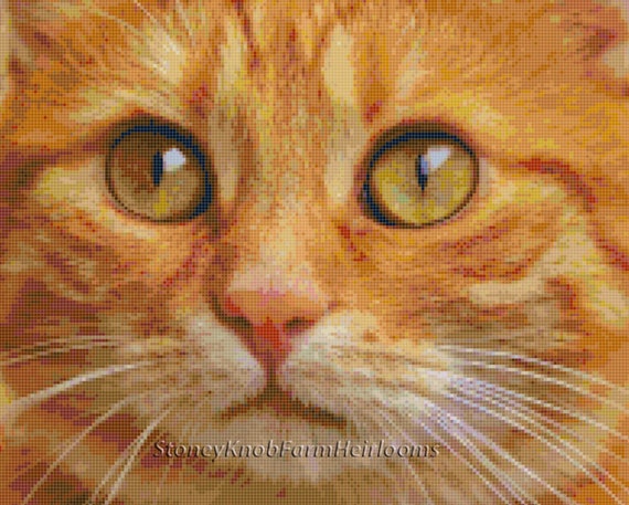 Orange Tiger Cat Face ~ Cats, Kittens ~ DIY Cross Stitch