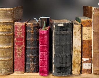 Livros antigos ~ Biblioteca, Antiguidades, História, Vintage ~ Faça você mesmo: 2 padrões de ponto cruz em cores e em preto e branco com símbolos ~ Baixar